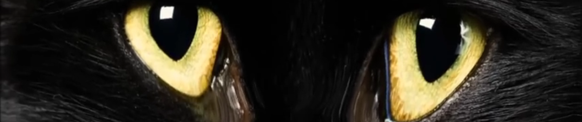 Сообщение о преступлении